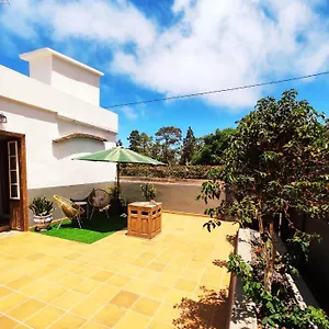 https://pino-redondo-puntagorda-la-palma.in-canary-islands.com